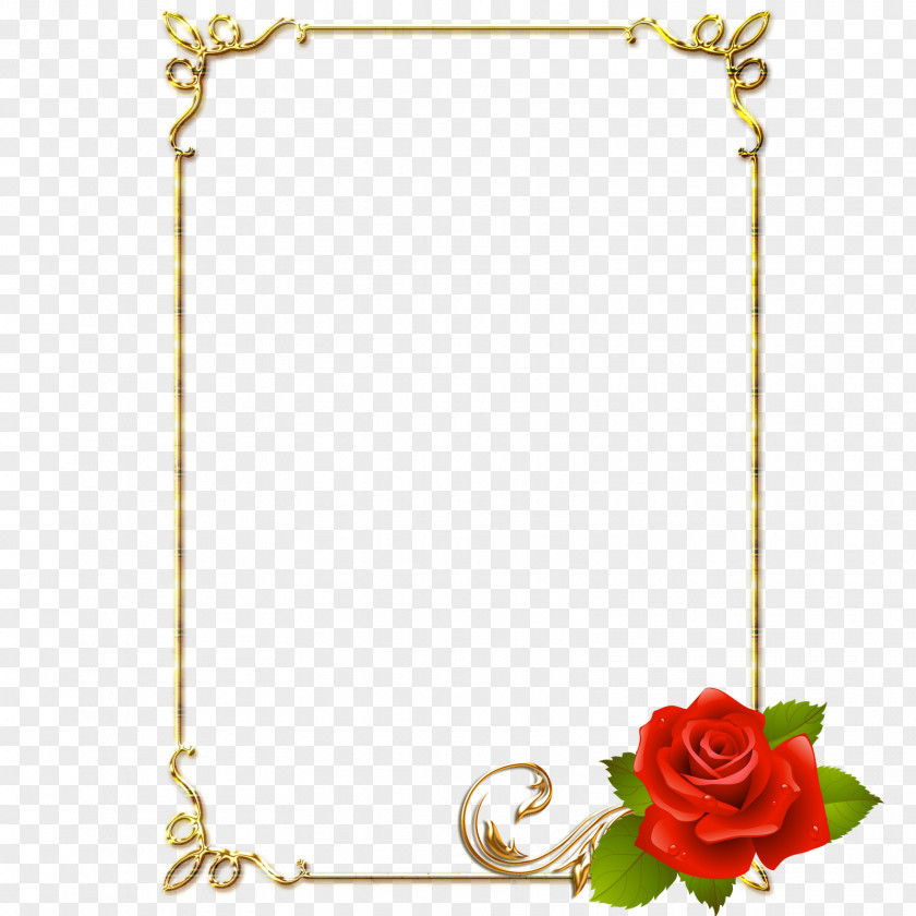 BORDAS Picture Frames PNG