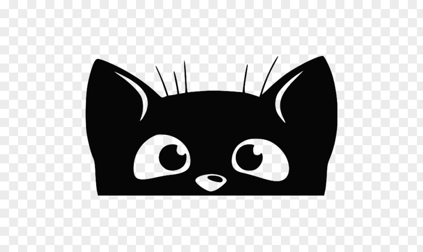 Cat Whiskers Black Kitten Sticker PNG