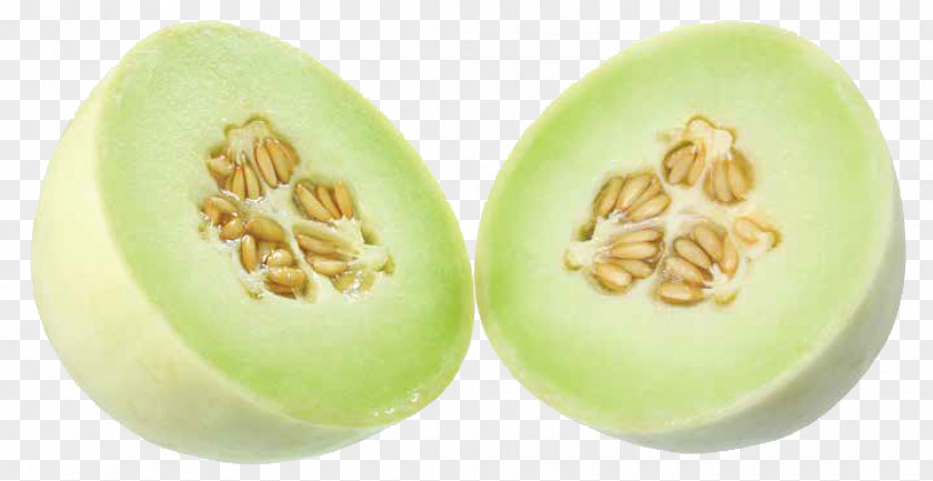 Melon Honeydew Galia Cantaloupe Watermelon PNG