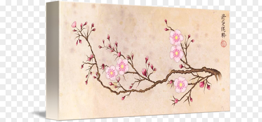 Sakura Branch Cherry Blossom Floral Design Work Of Art PNG