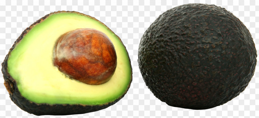 Avocado Clip Art Salad Transparency PNG