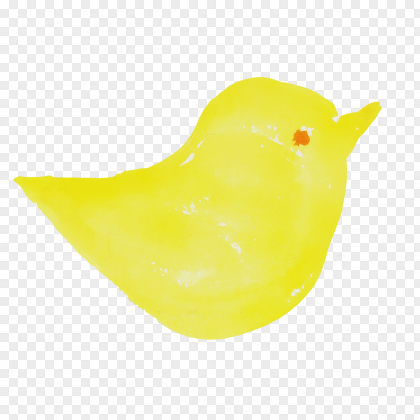 Yellow Bath Toy Bird Rubber Ducky PNG