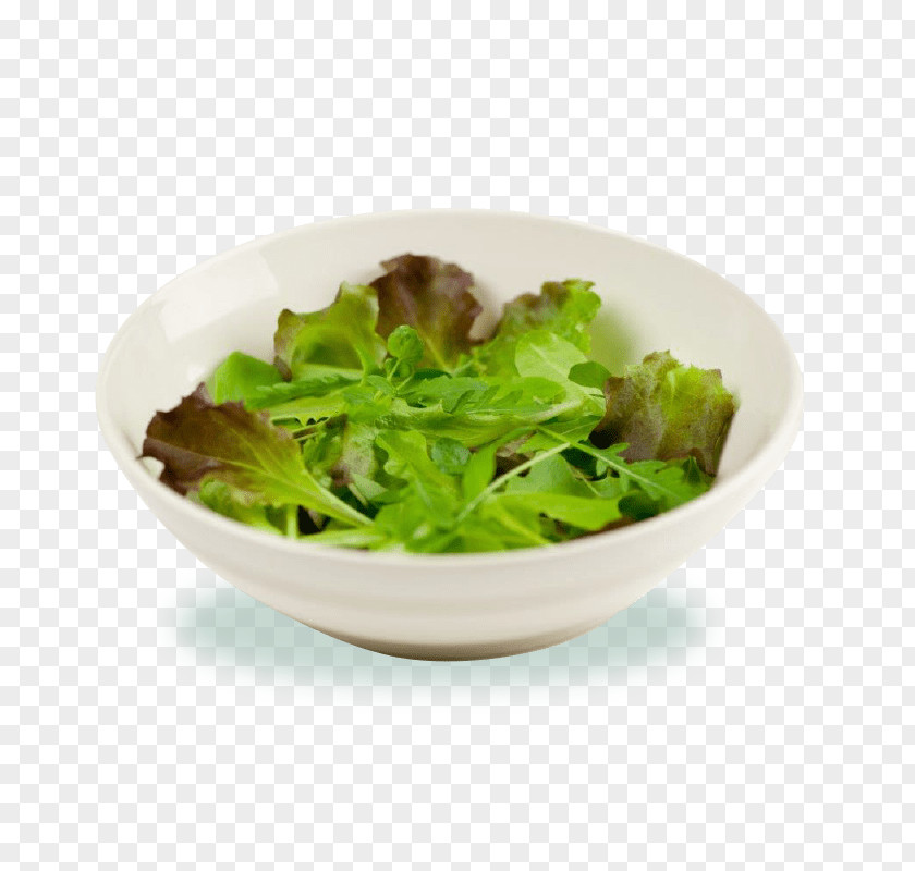 Caesar Salad Iceburg Lettuce Onion Cartoon PNG