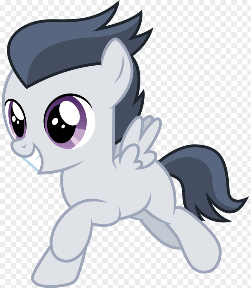 Cat Pony Rarity Scootaloo Rainbow Dash PNG