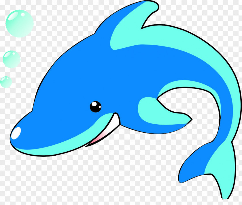 Dolphin Treble Marine Biology Cartoon Sea PNG