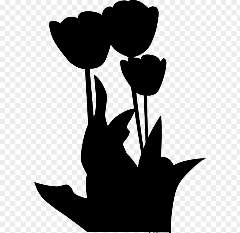 Flowering Plant Tulip Clip Art Black PNG