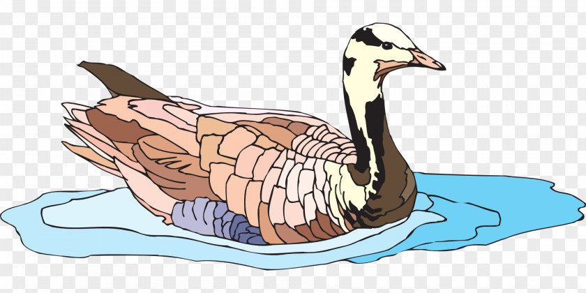 Swimming Duck Goose Water Bird Clip Art PNG