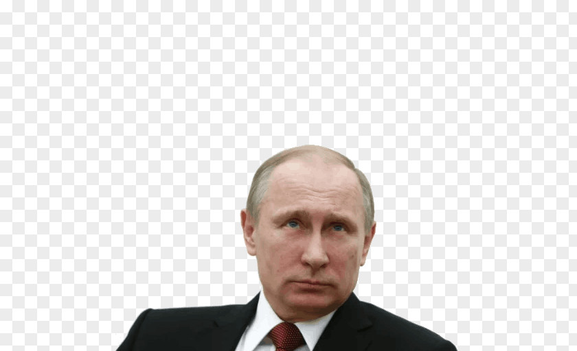 Vladimir Putin President Of Russia Prime Minister Italy PNG