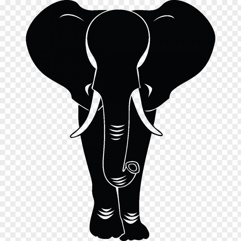 Africa Indian Elephant African Elephantidae PNG