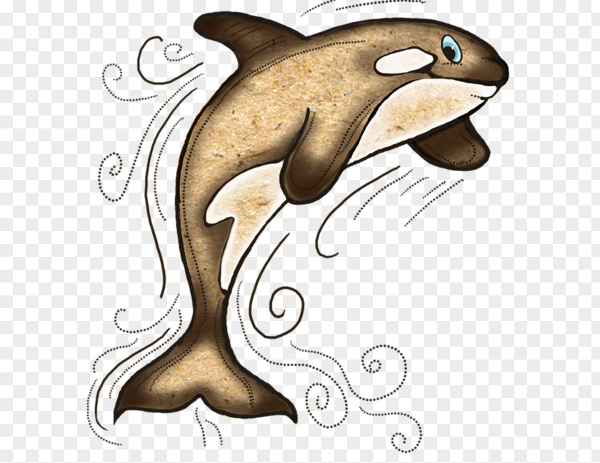 Dolphin Atlantic Spotted 0 PNG