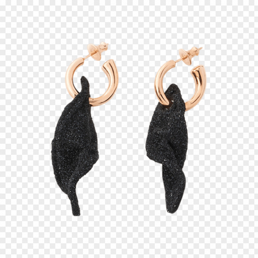 Jewellery Earring Silver Necklace PNG