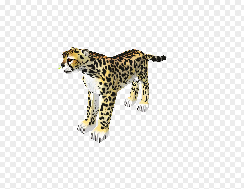 Leopard Cheetah Jaguar Tiger Terrestrial Animal PNG