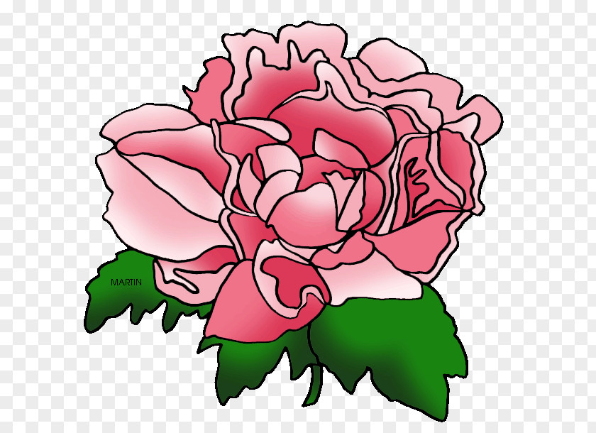 Peony Pink Flowers Indiana Clip Art PNG
