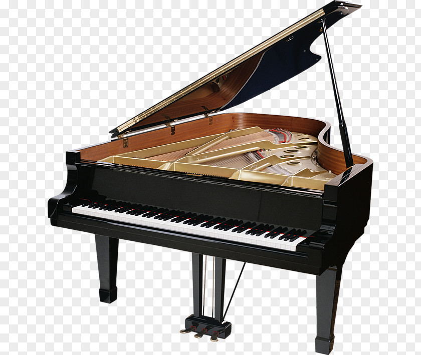 Piano Grand Stock Photography PNG