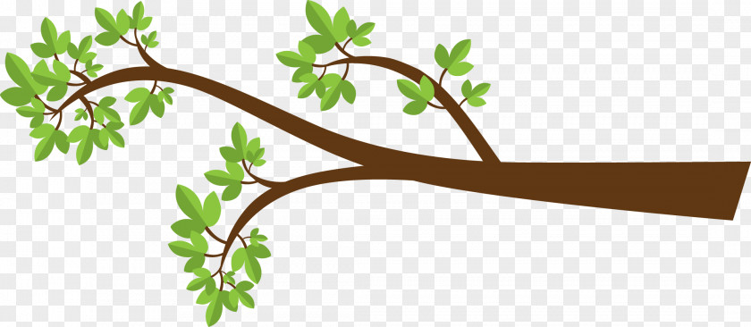 Branch Tree Drawing Clip Art PNG