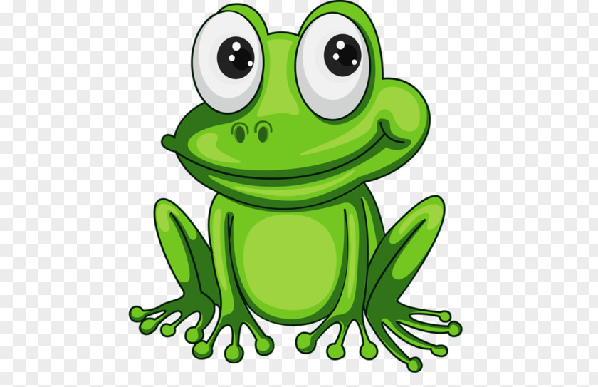 Frog Bible Tract Clip Art PNG