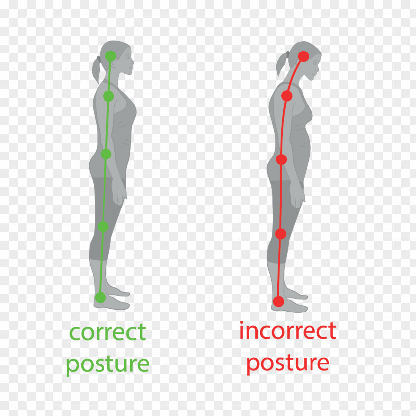 Health Poor Posture Neutral Spine Vertebral Column Sitting PNG