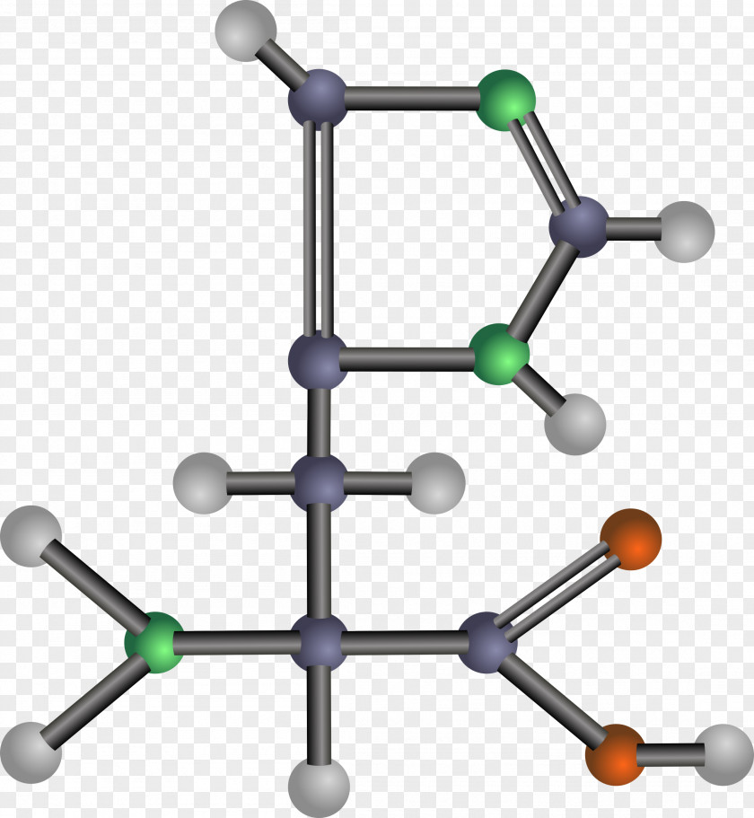 Love Chemistry Essential Amino Acid Glutamic Valine PNG