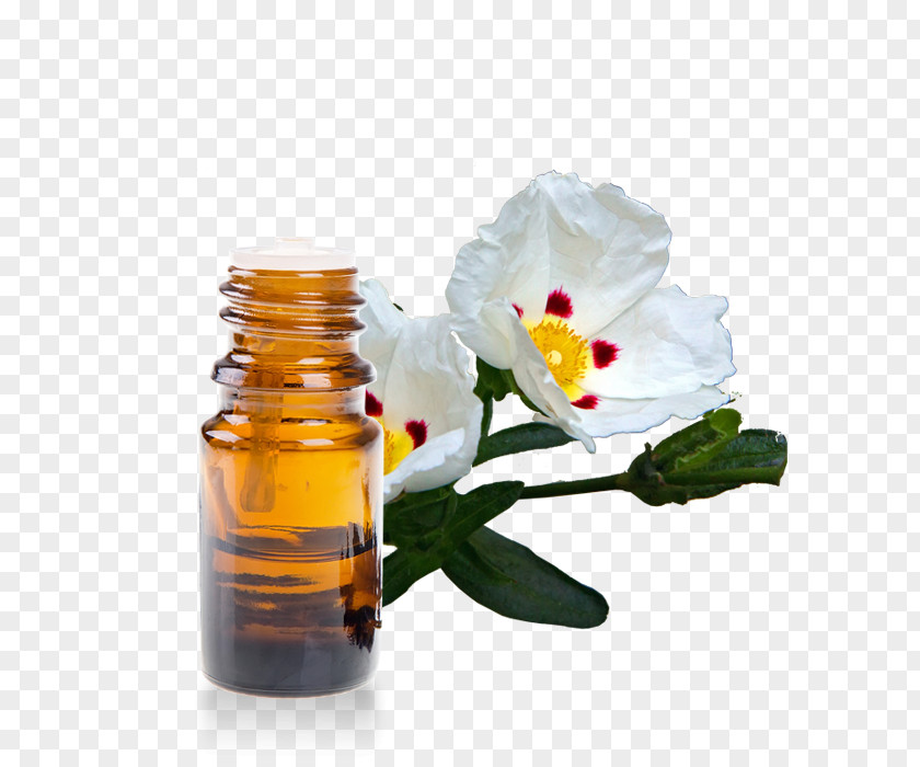 Oil Lotion Essential Neroli Perfume PNG