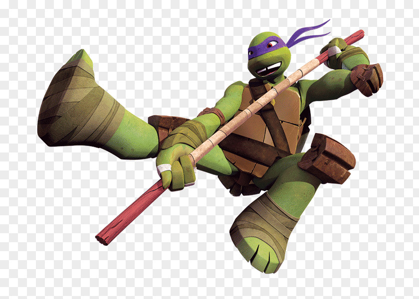 Raphael Leonardo Michaelangelo Donatello Splinter PNG