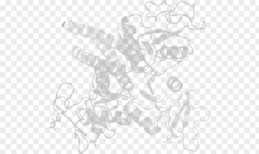 Acetolactate Synthase Drawing Line Art White /m/02csf Clip PNG