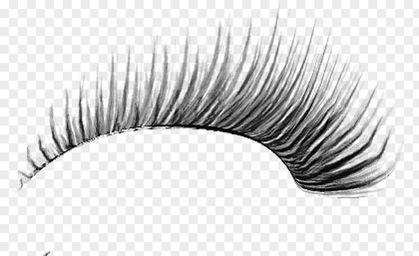 Eye Eyelash PhotoScape PNG