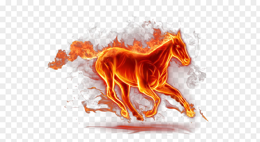 Fire Horse Flame Light PNG