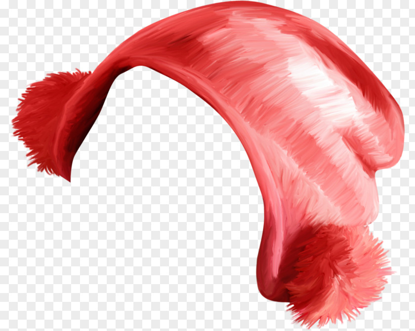 Hat Sombrero PNG