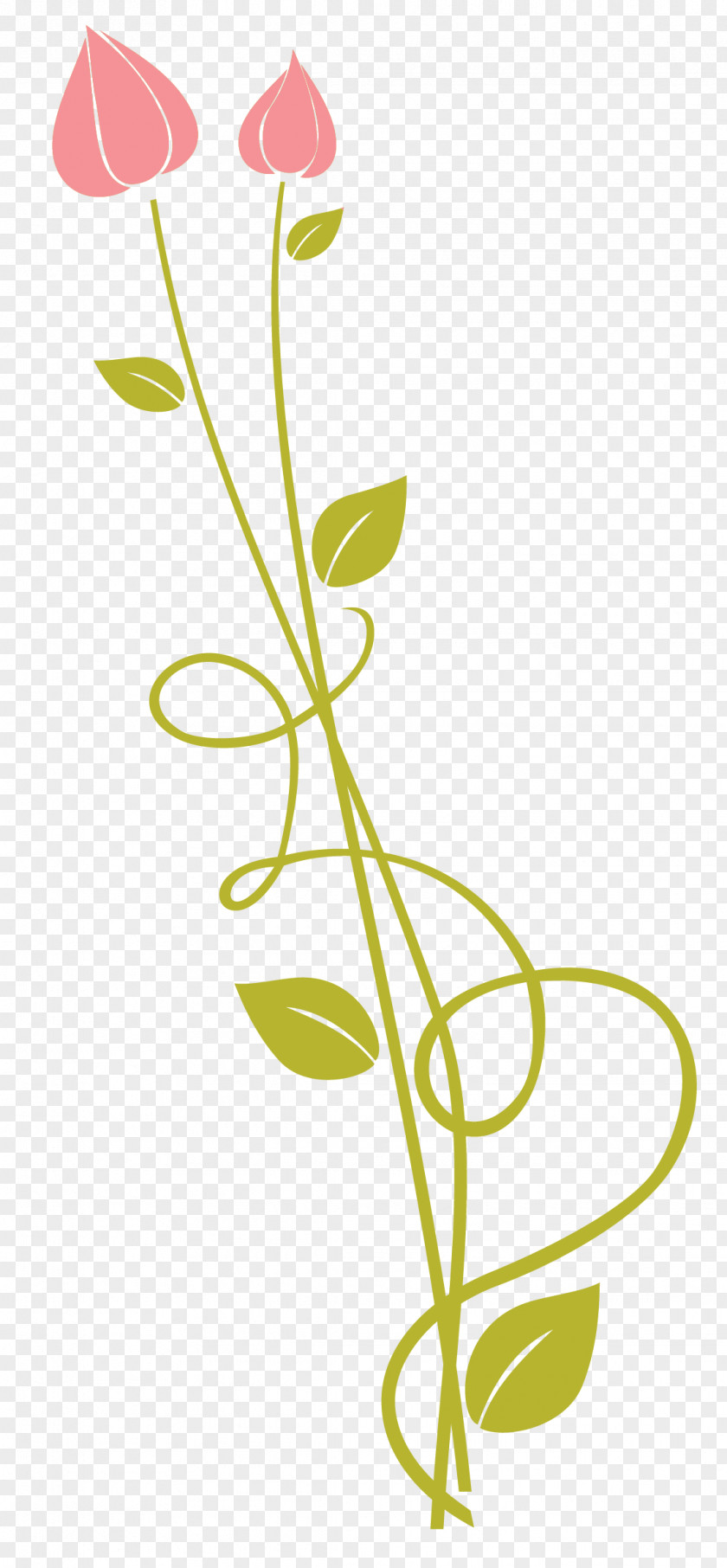 Leaf Floral Design Cut Flowers Plant Stem PNG