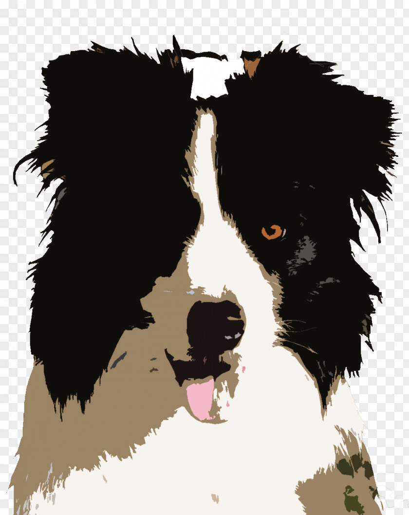 Puppy Border Collie Dog Breed Rough Collie's Sports Bar & Grill PNG