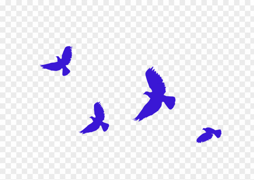 Blue Simple Flying Pigeon Decoration Pattern 19th National Congress Of The Communist Party China Socialism With Chinese Characteristics PNG