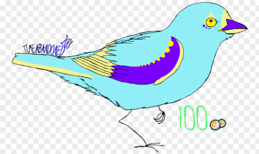 Cokitell Drink Party Flyer Beak Feather Cartoon Clip Art PNG