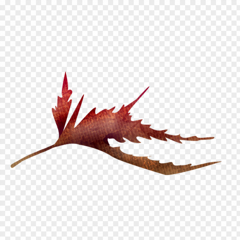 Maple Leaf Clip Art PNG