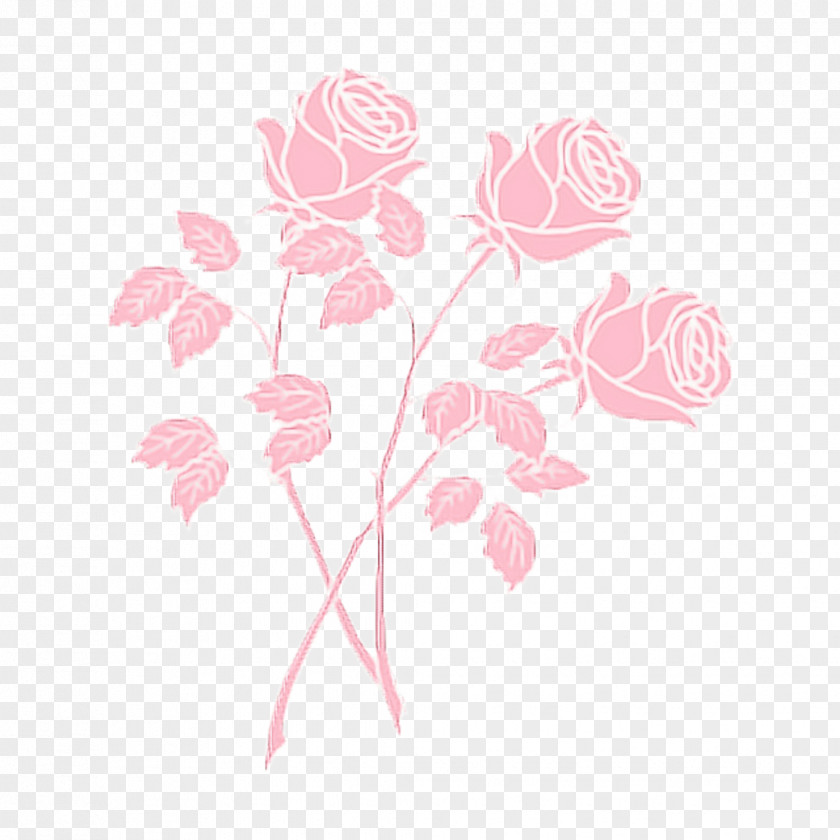 Petal Rose Family PNG