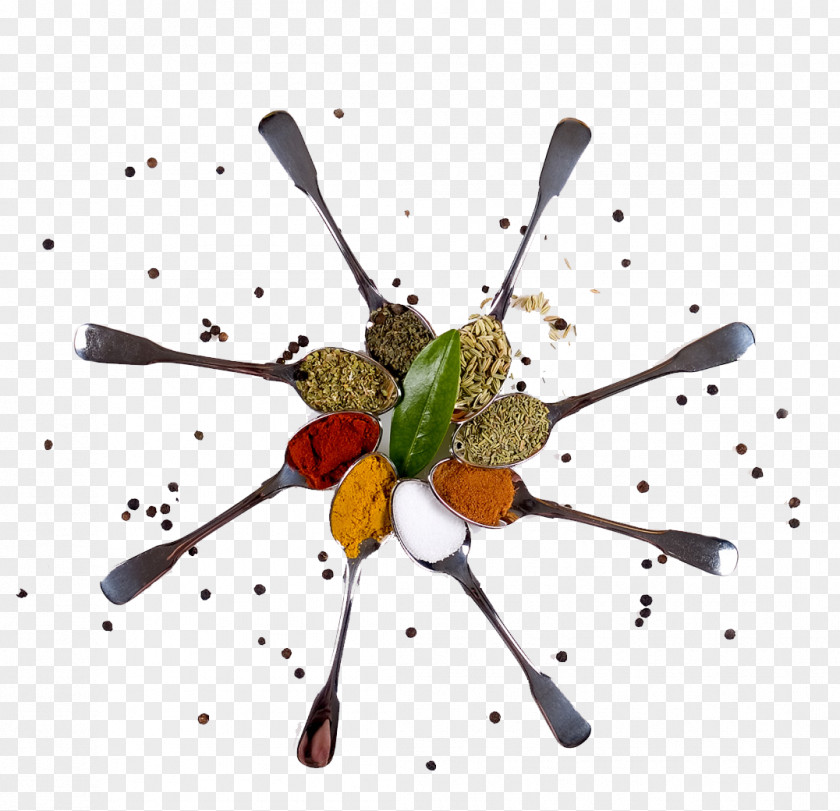 Spoon Flavor Spice Mem Saab Food Indian Cuisine PNG