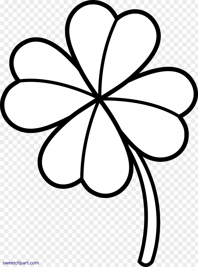 Clover Four-leaf Coloring Book Shamrock Luck PNG