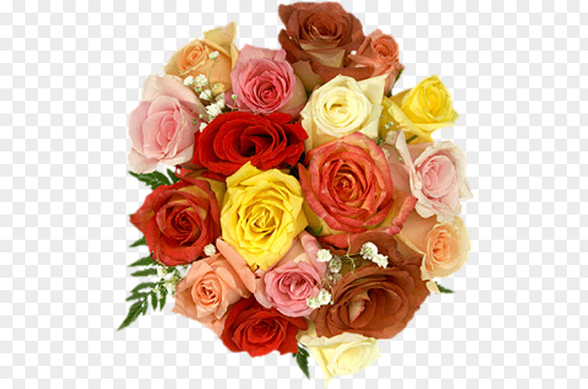 Color Cartoon Cute Rose Bouquet Flower Garden Roses Birthday Clip Art PNG