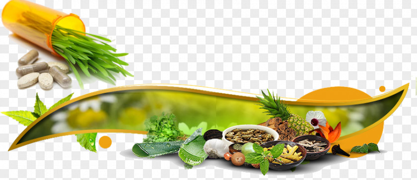 Garnish Herb Business Pharmaceutical Drug Manufacturing India PNG