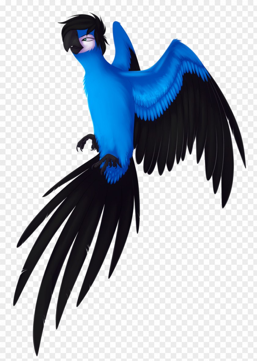 Naira Macaw Nigerian Rio Drawing PNG