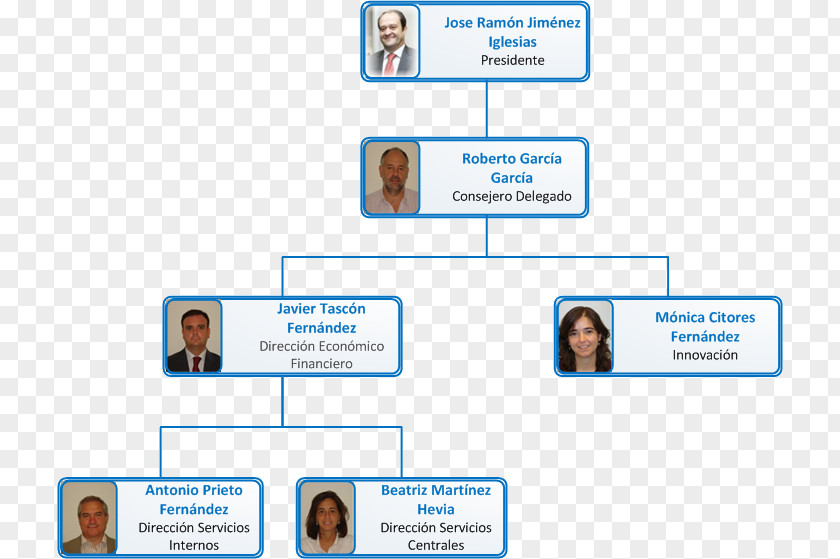 Organizational Chart Working Group Volkswagen Cuidar Nuestro Amor PNG