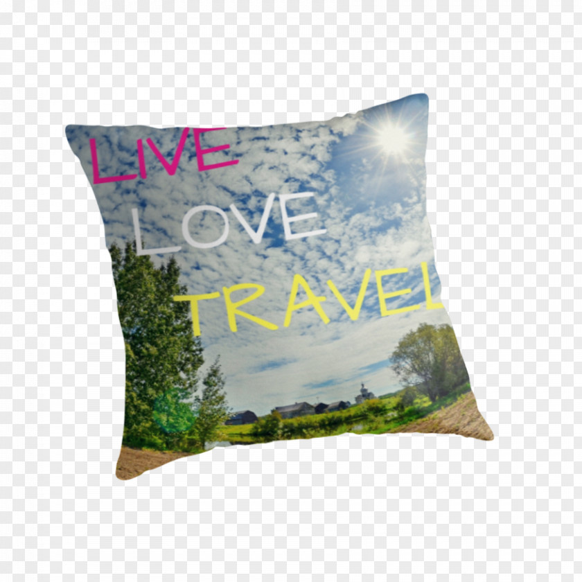 Pillow Throw Pillows Cushion Travel Joshua Tree National Park PNG