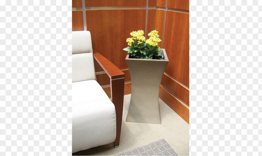 Plant Houseplant Office Room Interior Design Services PNG
