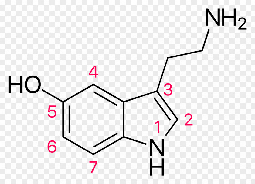 Serotonin Chemistry Food Chemical Formula Eating Disorder PNG