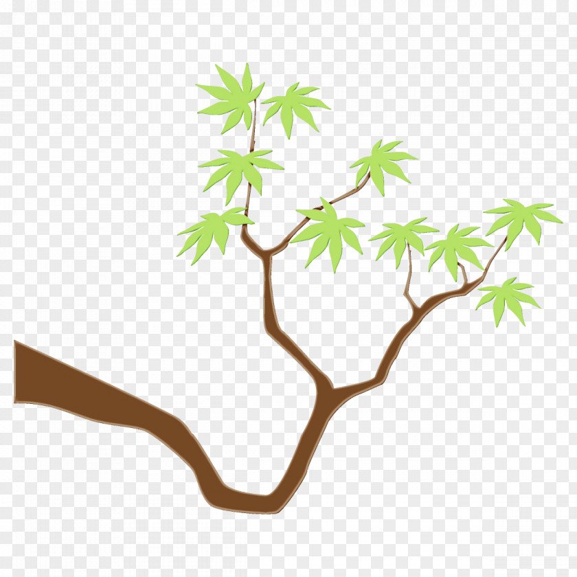 Twig Flower Leaf Tree Plant Branch Stem PNG