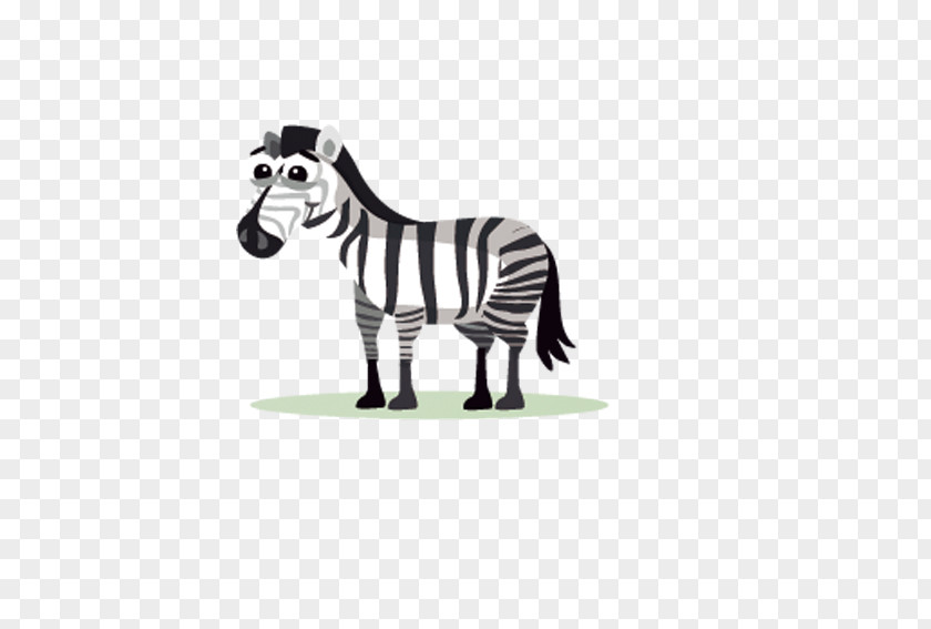 Zebra Clip Art PNG