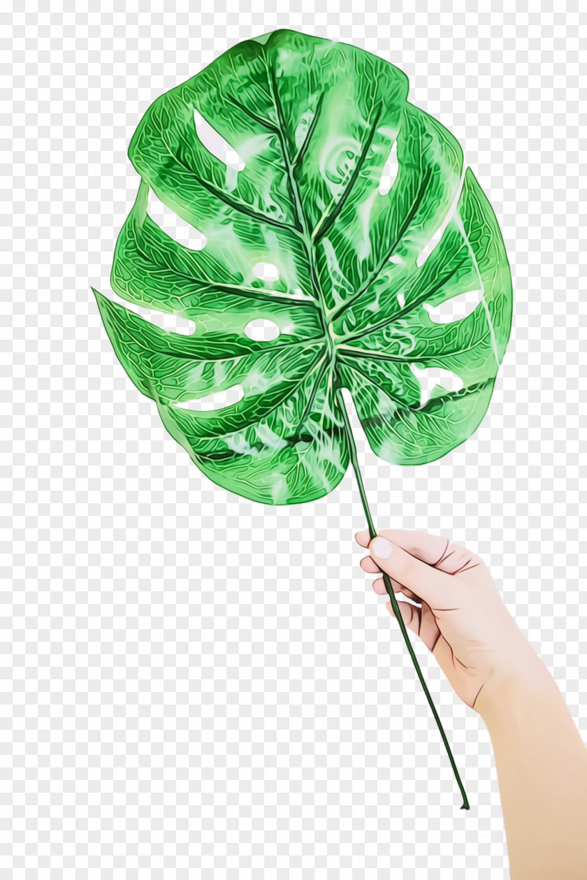 Clover Flower Christmas Tree Watercolor PNG