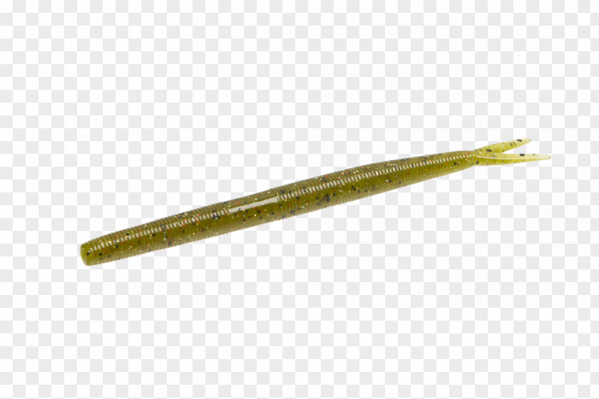 Magic Stick Worm PNG