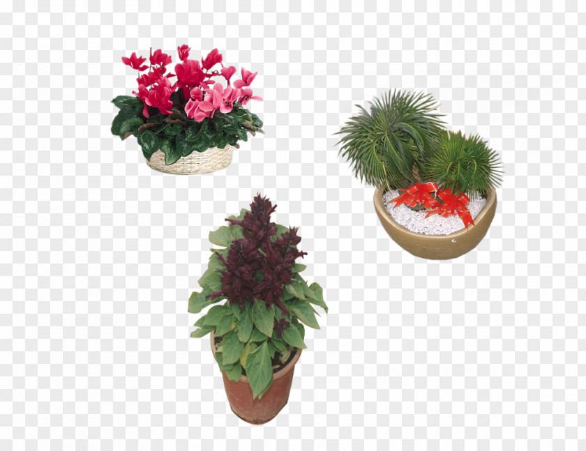 Potted E Flowerpot PNG