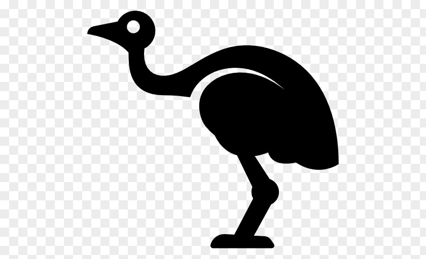 Australia Emu Common Ostrich Clip Art PNG