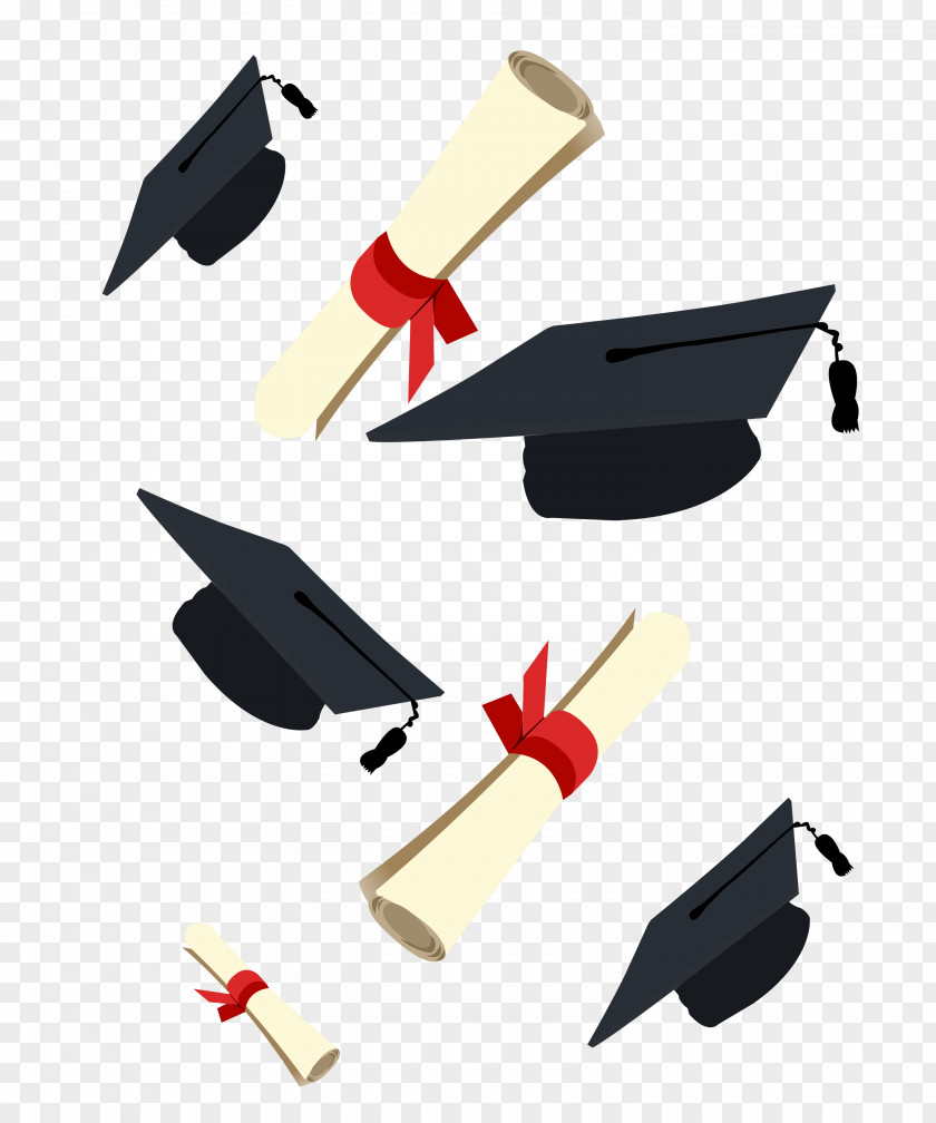 Dr. Cap And Diploma, Graduation Ceremony Square Academic Diploma Clip Art PNG